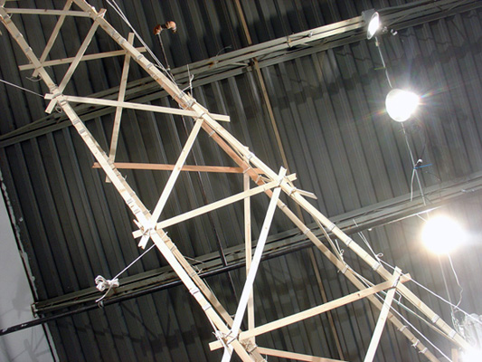 tatlin ambivalence ceiling