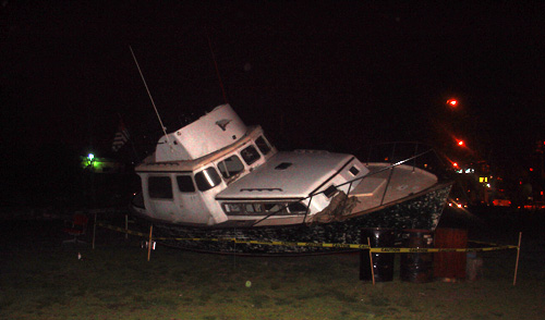 albatross at night