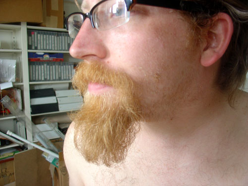 normal longbeard