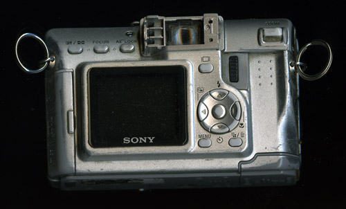 bollocks camera scars 1