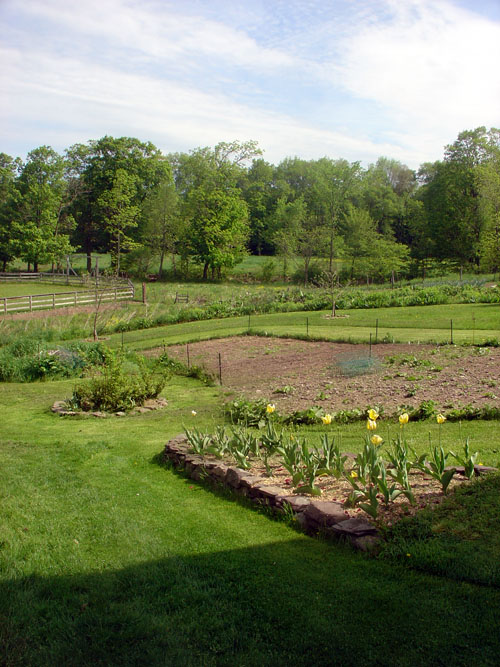 fokish farm