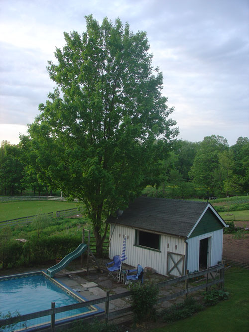 fokish farm view