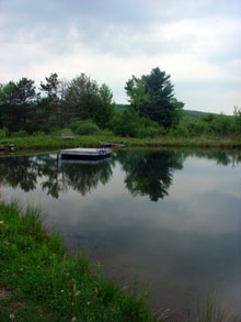 fokish farm other farm pond