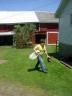fokish farm Oskar preparing to leave