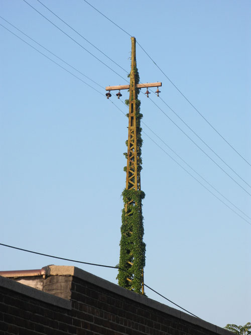 power tower and vines