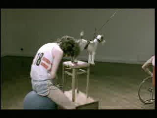 honda spoof by 118