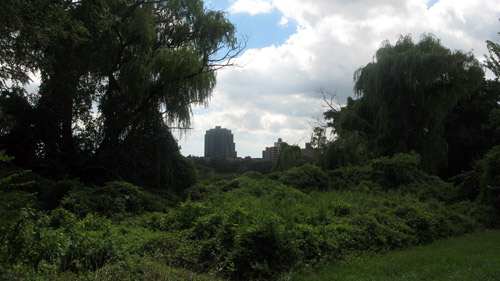 this-is-queens-02